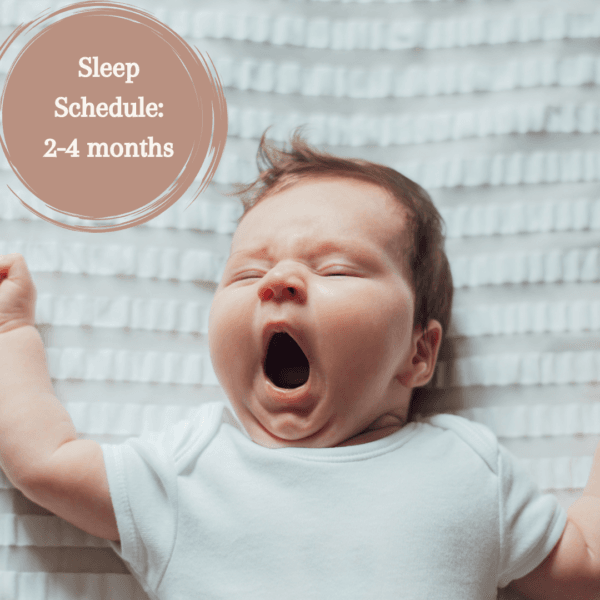 Nap schedules: 2-4 months