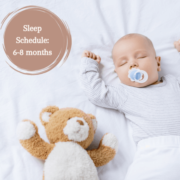 Nap schedules: 6-8 months