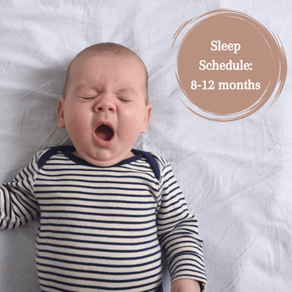 Nap schedules: 8-12 months