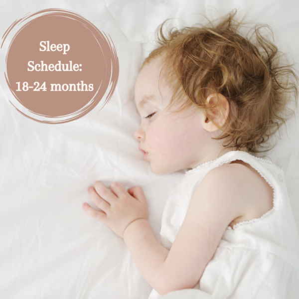 Nap schedules: 18 months-2 years