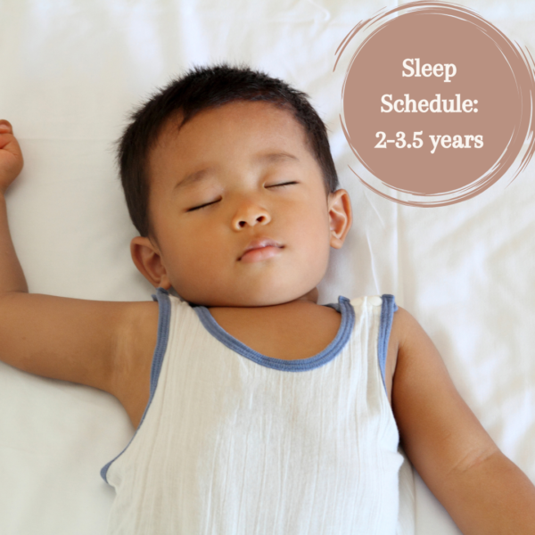 Nap schedules: 2-3.5 years